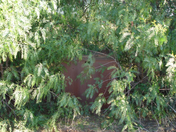 Possible remains at the siding in the form of a small metal tank.