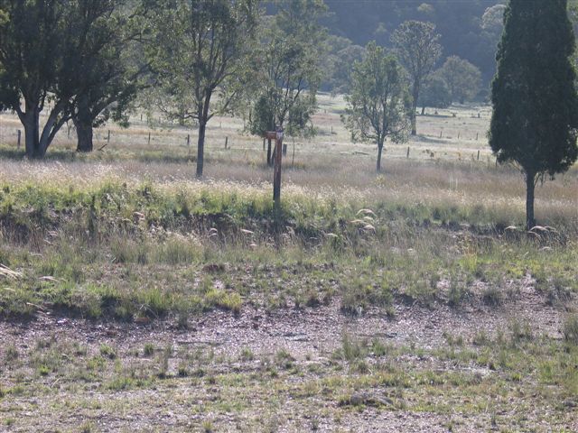 
A kilometre post in the vicinity of the one-time Gungal station.
