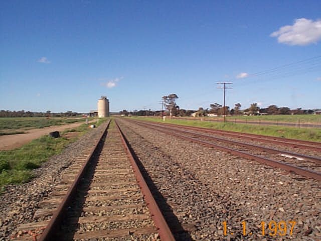 The view looking up the stock siding towards the silo and former station.