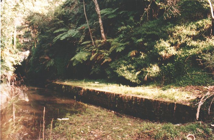 
The remains of the old platform looking towards the South Coast. The tunnel
can just be made out towards the left of picture.
