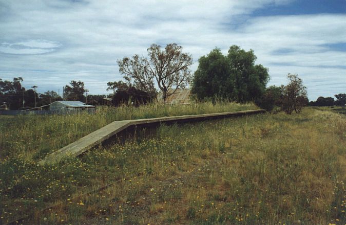 
The overgrown remains of the platform at Holbrook.
