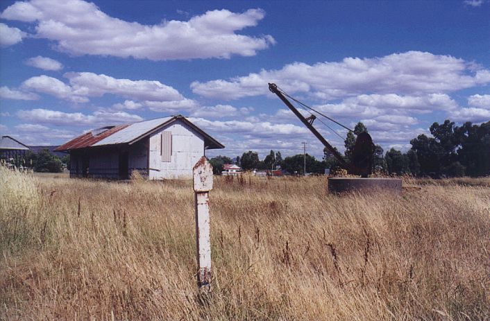 
The crane and goods shed which lie in the yard beyond the silo.  The
white post is a "half-mile" post.
