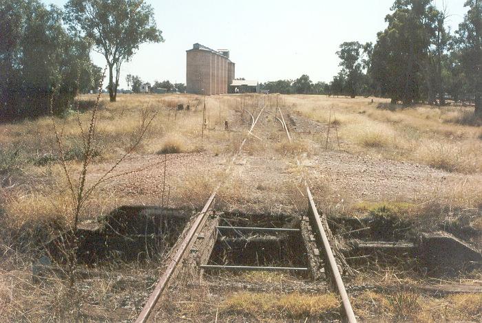 
The view from the down end of the yard, looking back towards the silos.
The station was located in front of the silos.
