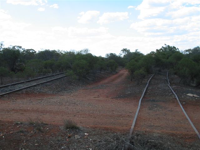 
The line to Brewarinna (on the right) just after the junction at Byrock.
