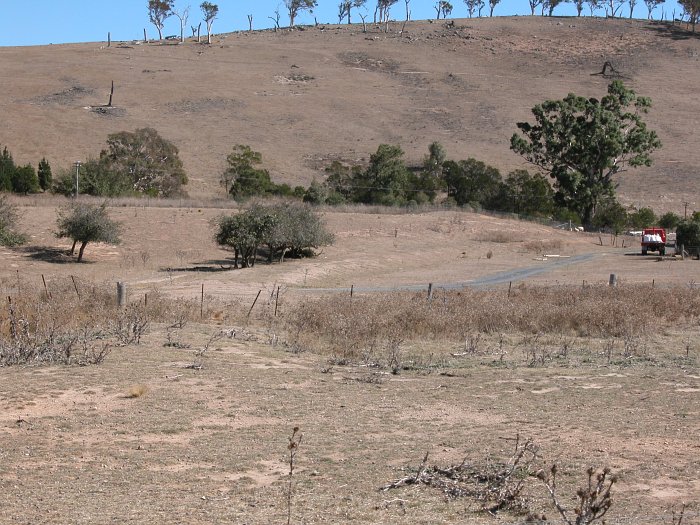 The view looking towards the junction with the main line. The formation curves from the foreground around to the right. The Bombala line is behind the trees in the middle distance.