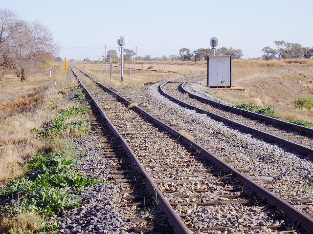 The junction of the Griffith and Hay lines at Yanco with the line to Hay on the left and that to Griffith curving to the right.