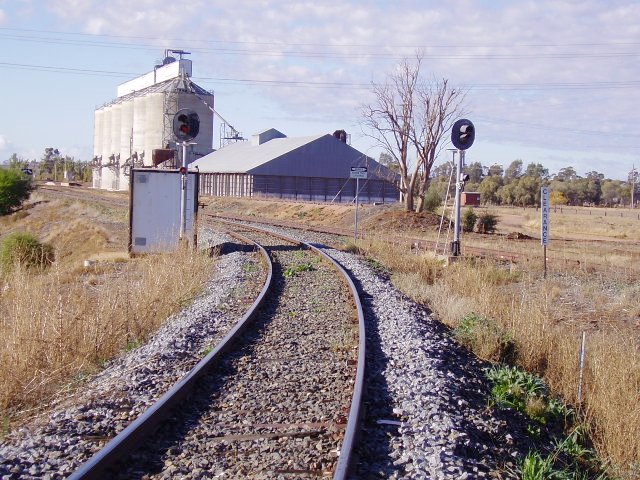 The junction of the Griffith and Hay lines at Yanco viewed from the Griffith branch.