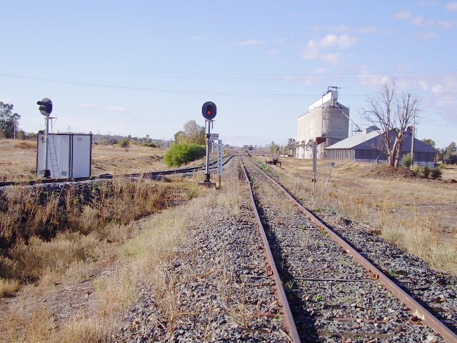 The junction of the Griffith and Hay lines at Yanco viewed from the Hay branch.