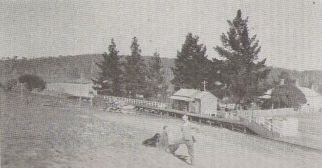 A copy of a photograph of Kerrs Creek Station.