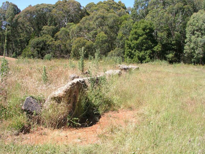 
The possible remains of an old goods loading bank, looking up the line.
