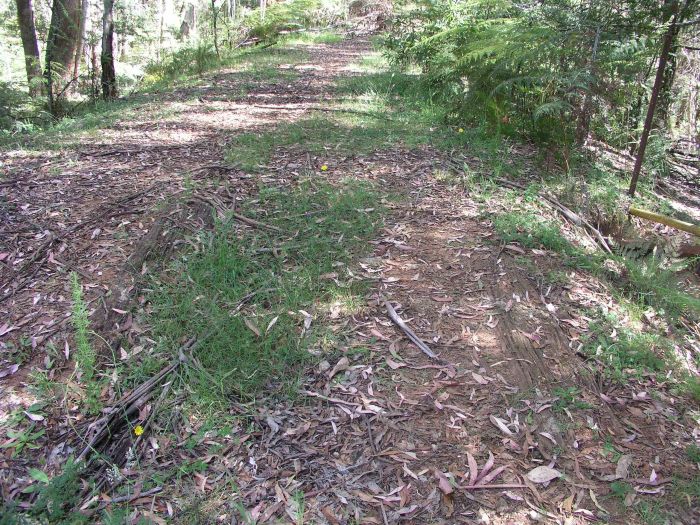 
The view from above of the wooden remains of a culvert, looking down the line.
