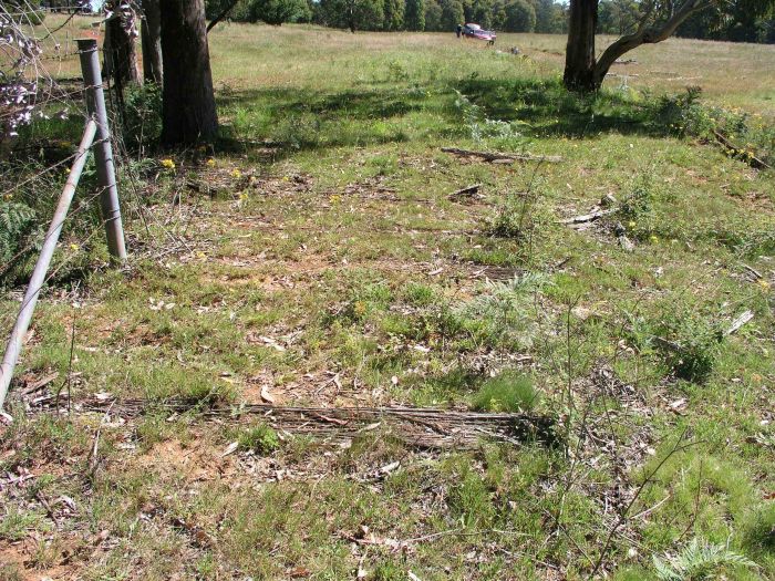 
The remains of some sleepers, looking towards the station location.
