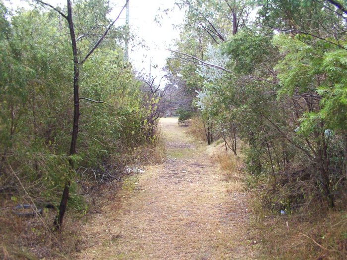 The cutting at Drummond Rd looking towards the electricity substation.