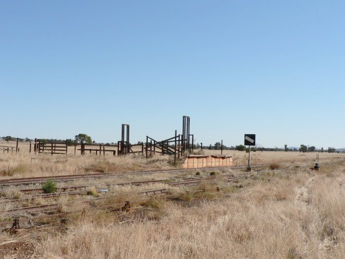 The view looking north showning the stock platform and the remains of the associated yards.