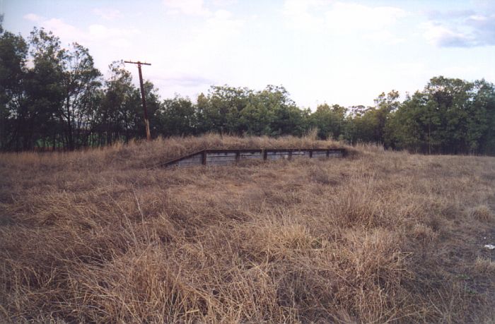 
Almost engulfed by grass is the concrete-faced passenger platform.
