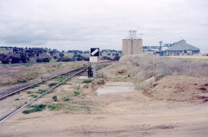 The view looking towards Cowra across the level crossing and past the silo.