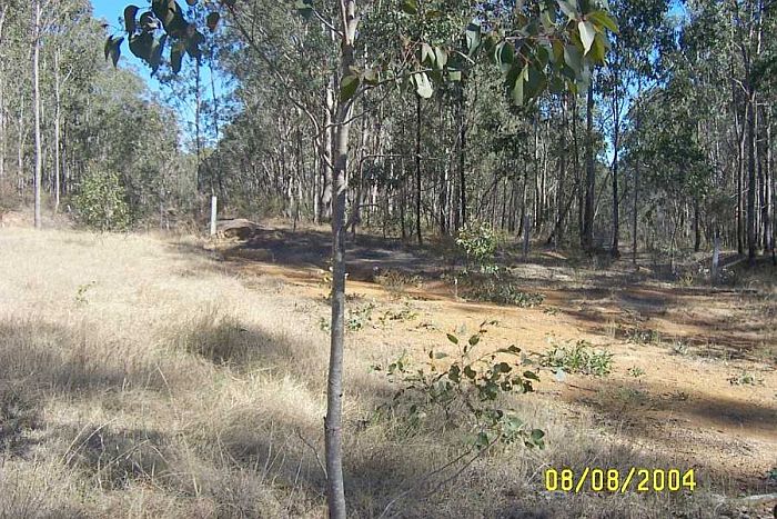 
All that remains of the junction is the formation.  The line to Stanford Main
No 2 Colliery went between the tree on the far left and the white post.  The
line to the other collieries went through the area on the right, near
the short post.
