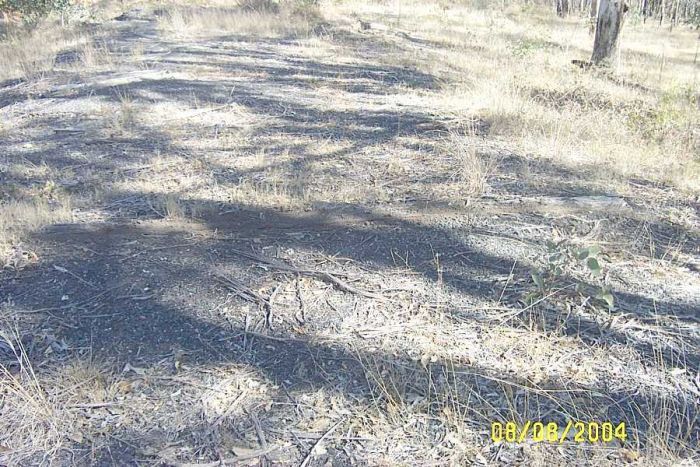 
A sleeper still embedded in the ground.  From the length of it, it was
probably where the points were laid.
