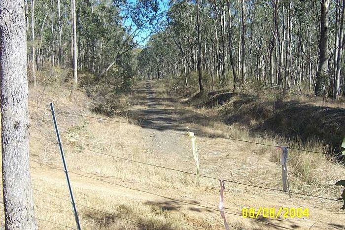 
The formation where the line went to Stanford Main No 2 Colliery.  It
continues for about 500m before becoming indistinct.
