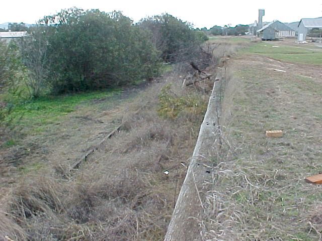 
The track  is quite overgrown in the view looking north along the
platform.
