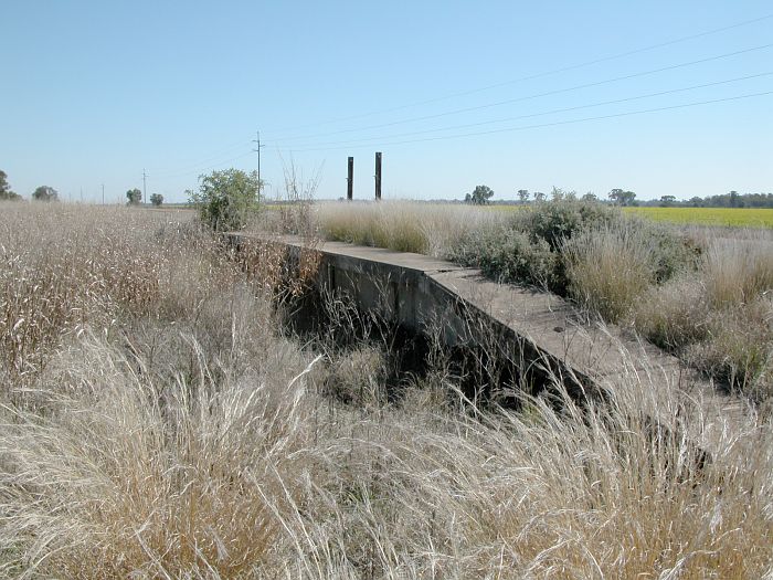 
A short concrete platform still remains.  This is the view looking towards
Moree.
