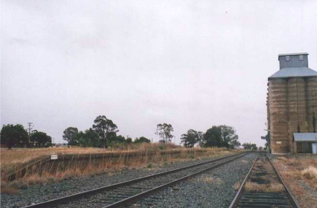 
A view of the overgrowing platform and silos looking towards Narrandera.
