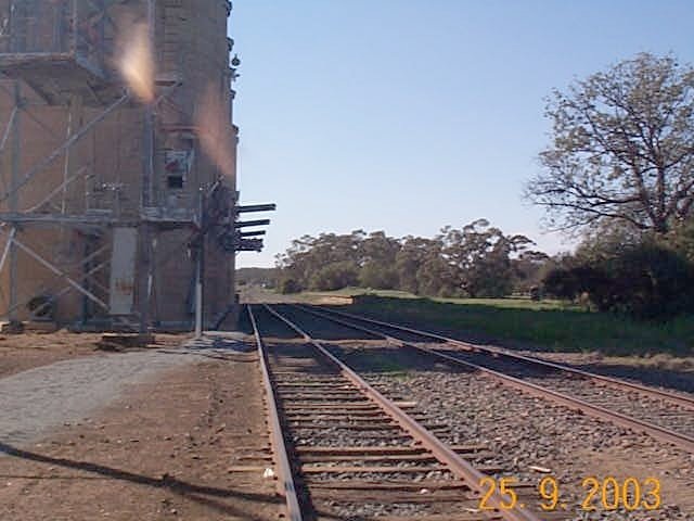 The view looking east along the silo siding. The former platform is visible on the right in the middle distance.