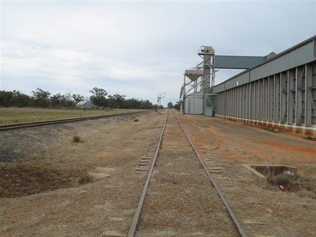 The view looking down the wheat siding towards Walgett.