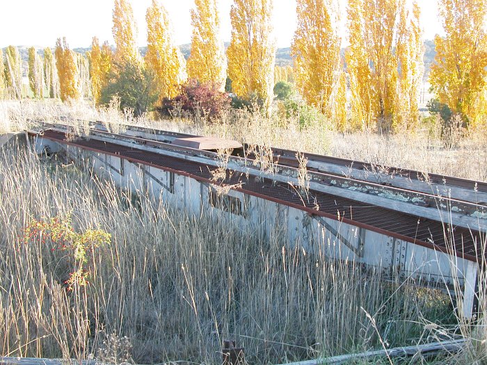 A side-on view of the turntable and the overgrown pit.