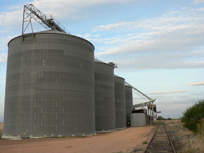A view of the large silos at Morundah.