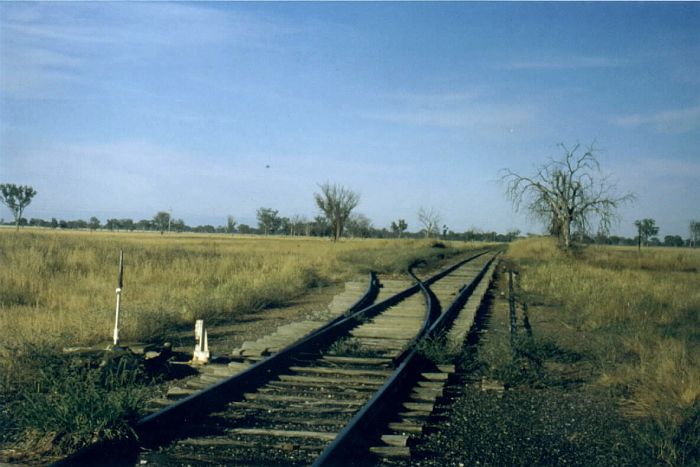 
By 1980 the platform has gone, but the overgrown loop siding is still present.
