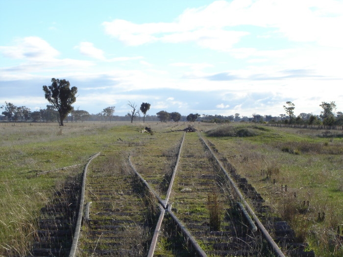 The mound on the right is all that remains of the station.  A loading back was situated directly opposite.