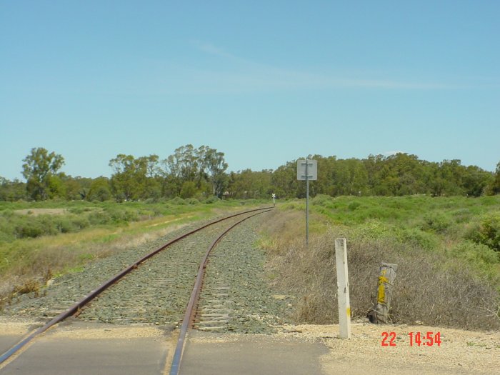 
A view of the track heading west beyond Moulamein.

