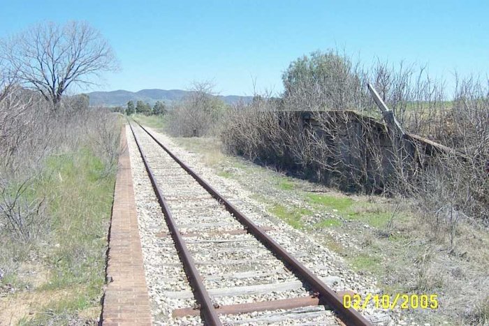 A view of the platform and loading bank looking towards Mudgee.