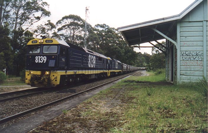 
8139/8132 squeal their way past the abandoned station of Mount Murray
at the beginning of the descent to Wollongong.
