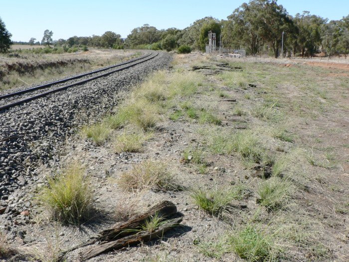 Sleepers in the ground are all that remains of the Commonwealth Siding that served the loading bank.