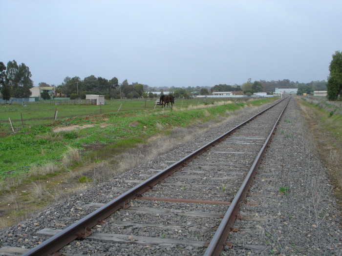 The view looking through the location of Mulwala, with possible platform remains on the left.