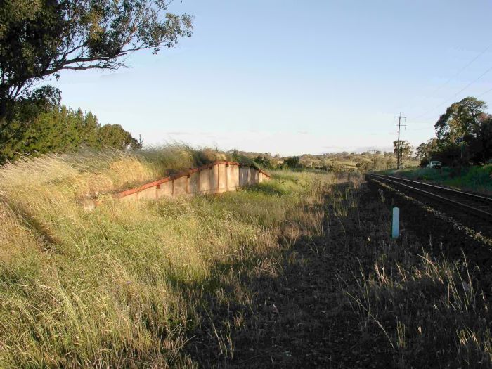 
The remains of a loading bank, the siding having being lifted.
