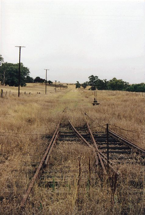 
The points at the up end of Muttama siding.
