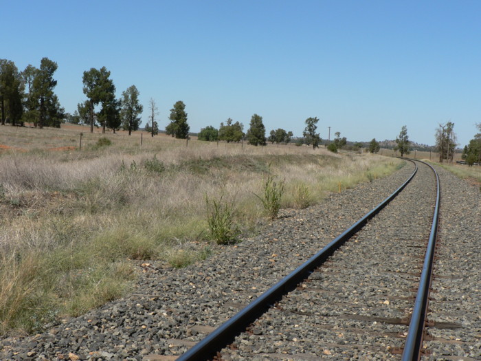 The view looking south showing the likely remains of the goods loading bank.