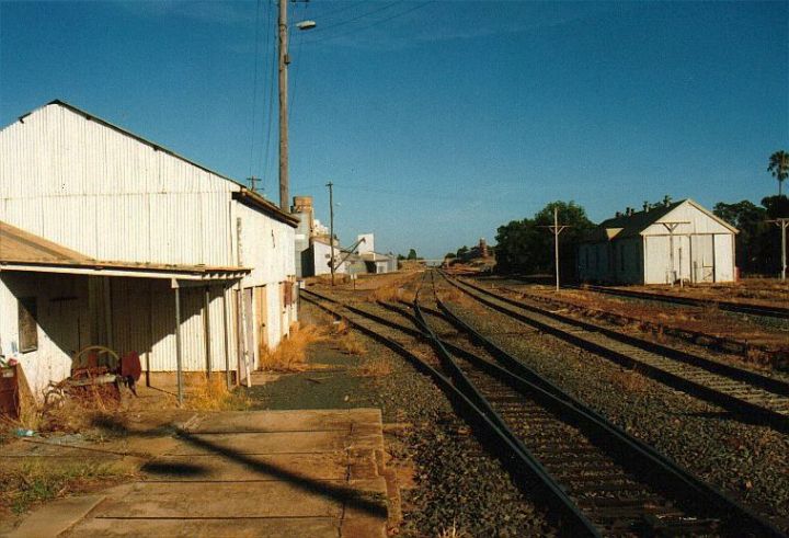 
The view from the western end of the station, looking in the direction
of Hay.  The lines branching to the left are the Mill Siding and
overgrown No 1 Siding.  The Main and Loop lines extend into the distance,
with the Back Road and perway shed on the right.
