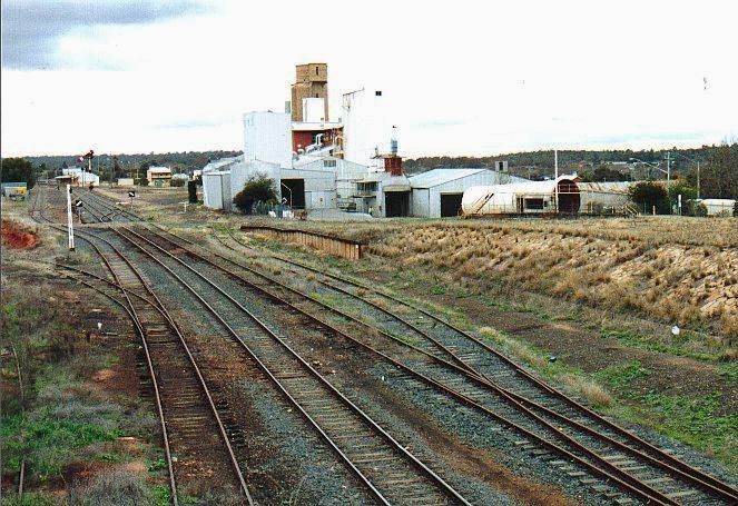 
The view from the western end of the yard, looking back towards the
station.  The disused line in the right foreground is the start of
the disused branch to Jerilderie and Tocumwal.
