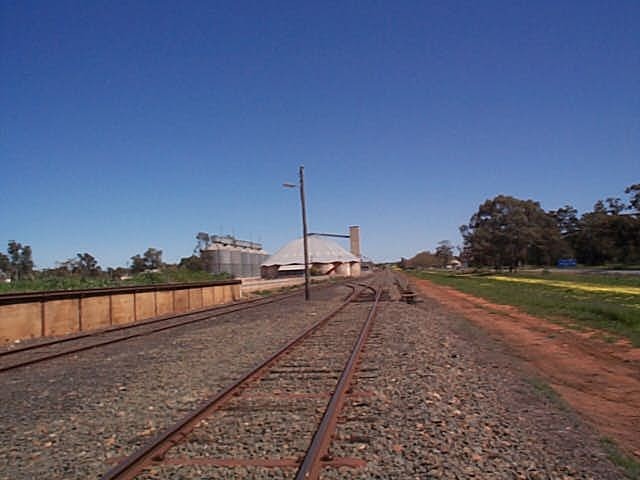 The view looking west towards the Narrandera Wheat silos.