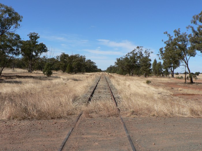 The view looking east towards the former station's location.