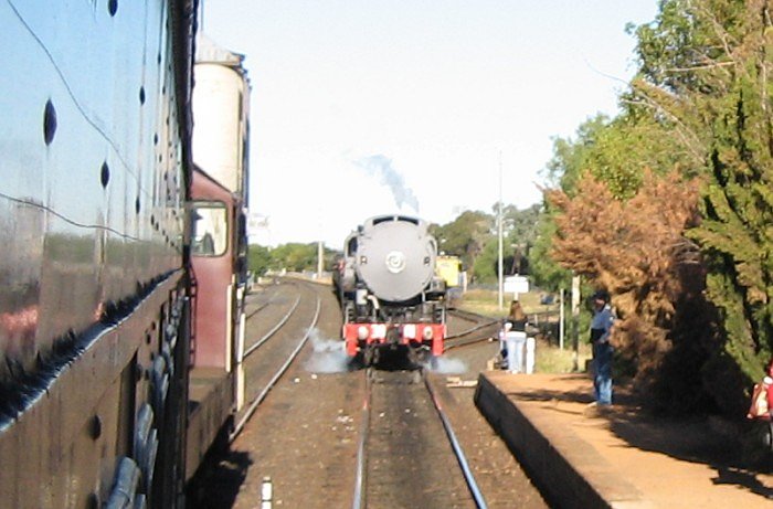 4908 and 3801, both with tour trains, cross at Narromine station.