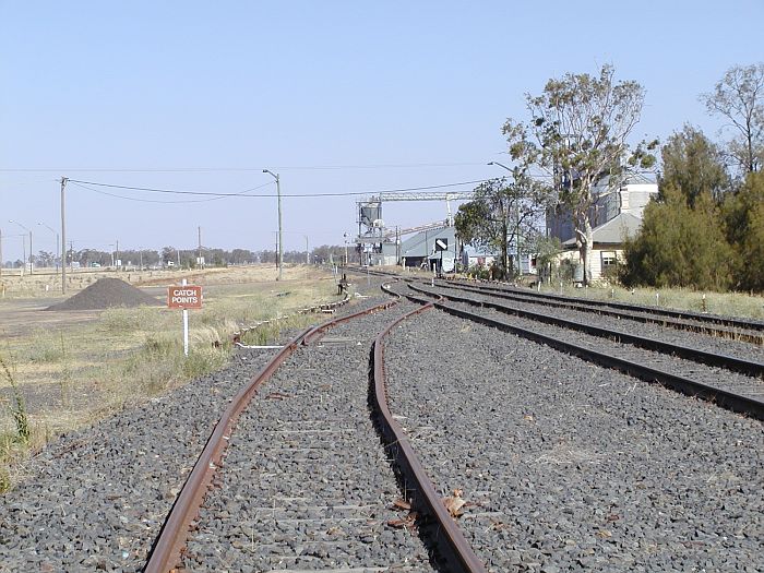 
The view looking south-east towards Dubbo.  Several large
silos can be seen.  The line on the far right is the line to Nyngan,
next to it is the Warren line,  the line in the foreground is a short
siding.
