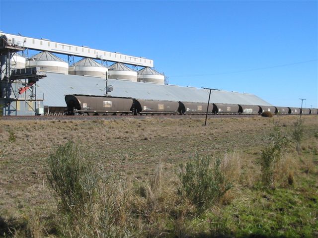 
A line of wagons sit in wait in front of the silos.
