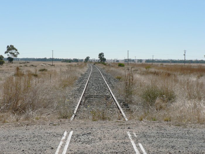The view looking north. The platform was located on the left hand side of the line, with a loop siding on the right.