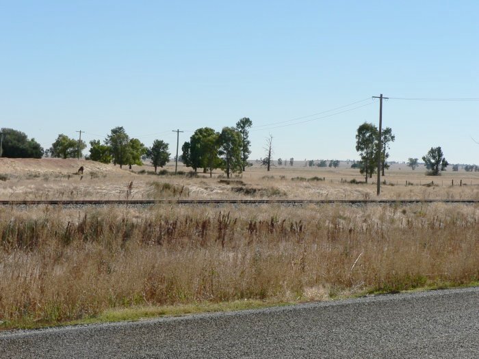 Some possible remains at the location.