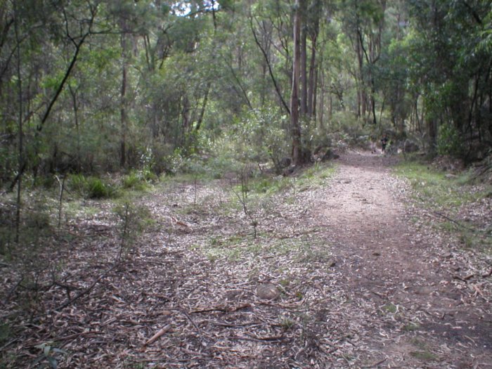 This is the location of the junction between the line veering right to the Works, and left to drop down and cross the river to the coal mines and brickworks.